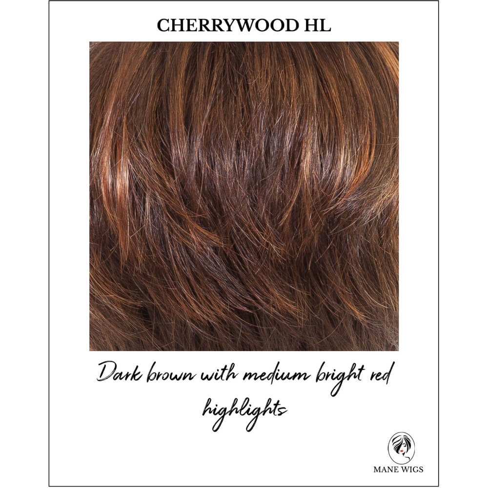 Blaze by TressAllure (Lace Front-Mono Top Wig) CLOSEOUT - Image 17