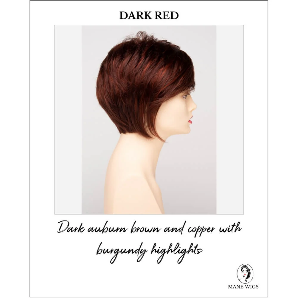 Chantel by Envy (Basic Cap Wig) - Image 24