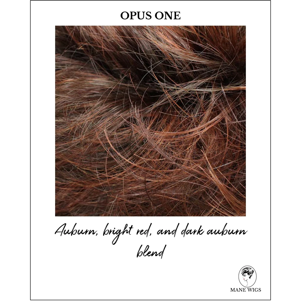 Connie by Wig Pro (Basic Cap Wig) - Image 27