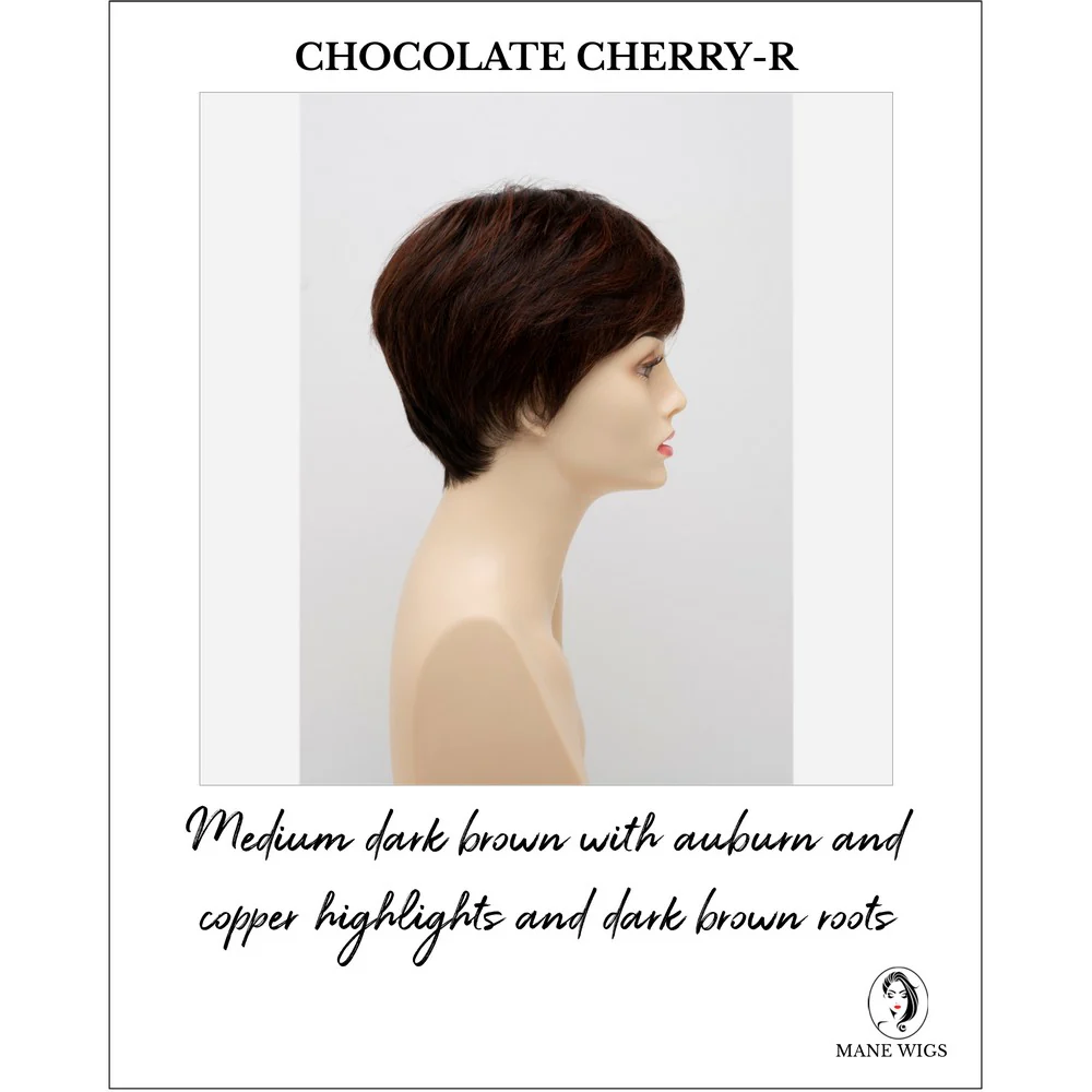 Destiny by Envy (Mono Top-Hand Tied Wig) - Image 9