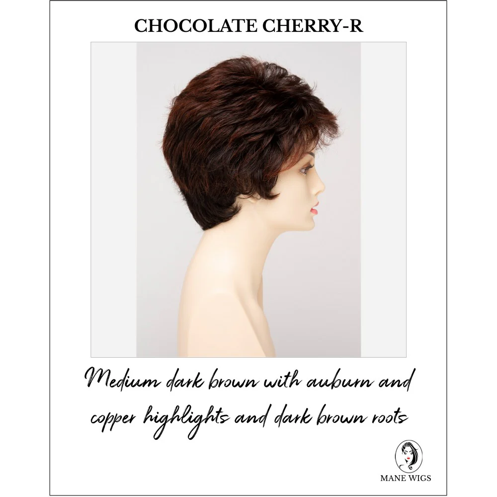 Heather by Envy (Lace Front-Mono Top-Hand Tied Wig) - Image 8