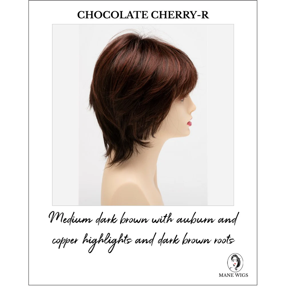 Jane by Envy (100% Hand Tied-Lace Front Wig) - Image 17
