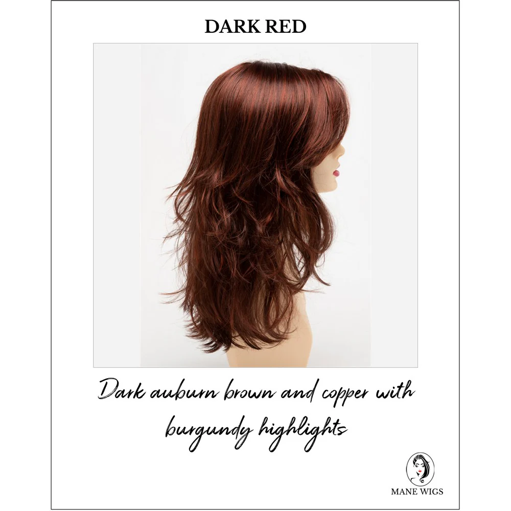 Joy by Envy (Lace Front-Mono Part Wig) - Image 29