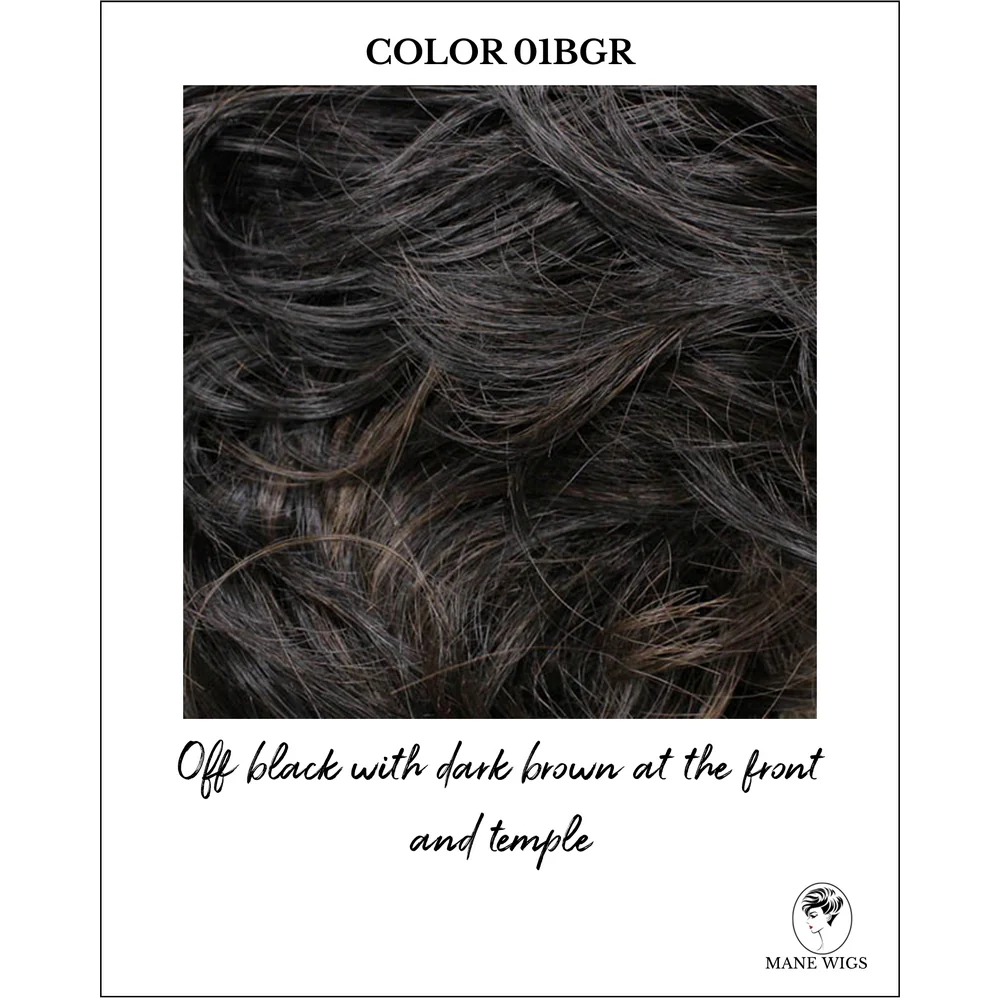 Noelle by Wig Pro (Mono Top Wig) - Image 61