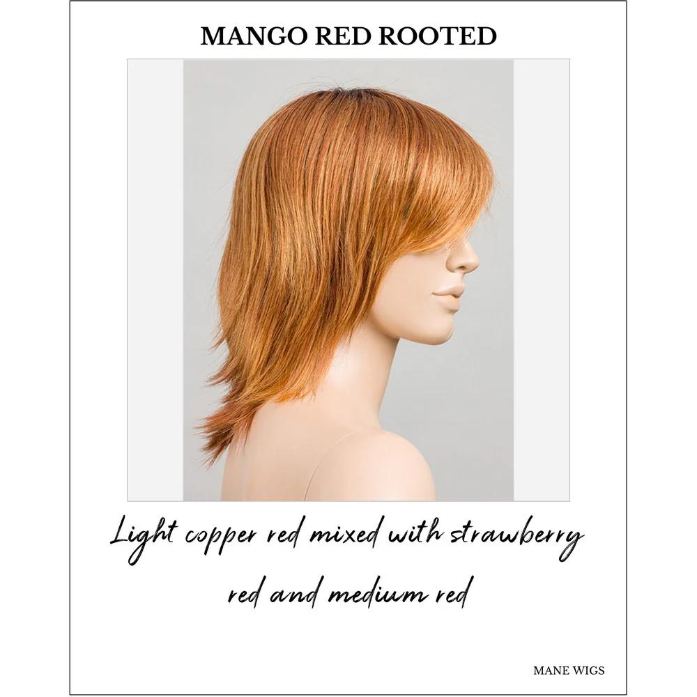 Rainbow by Ellen Wille (Mono Crown Wig) - Image 20