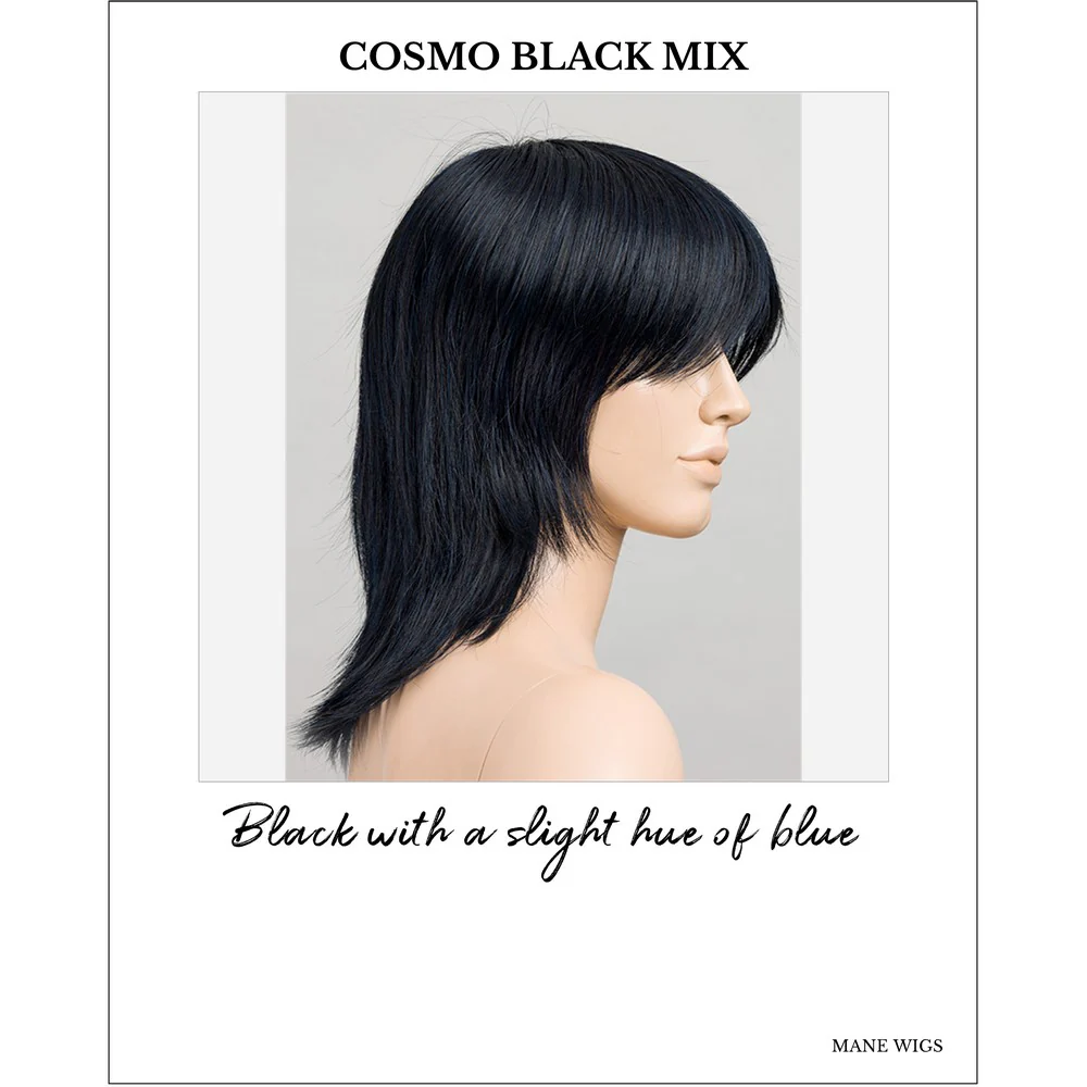 Rainbow by Ellen Wille (Mono Crown Wig) - Image 28