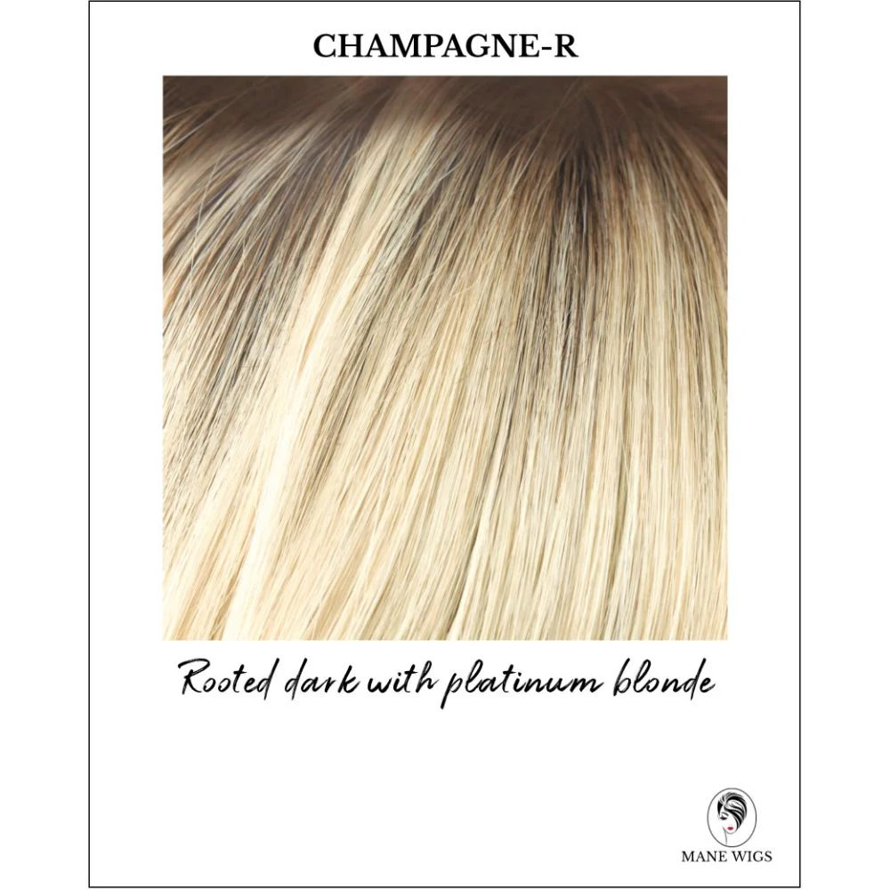 Royce by Amore (Lace Front-Double Mono Top Wig) - Image 14