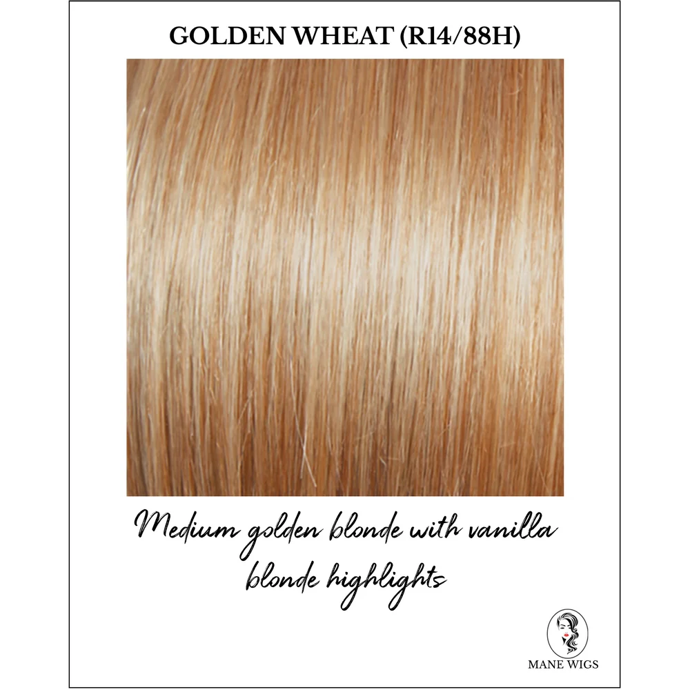 Winner by Raquel Welch (Basic Cap Wig) - Image 28